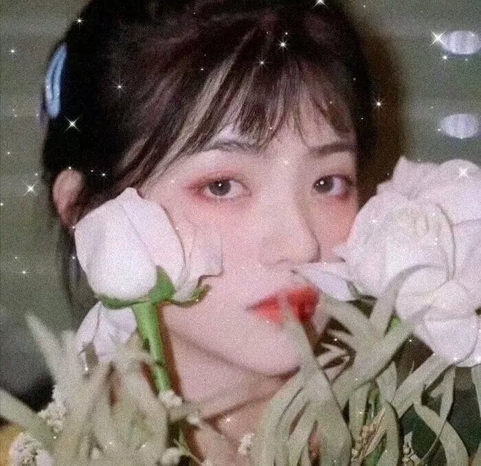 总统的女儿